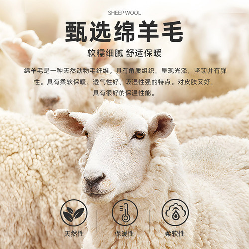 【可机洗防缩水】RaidyBoer/雷迪波尔男羊毛刺绣logo图案毛衣5010 - 图3