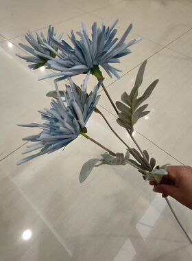 仿真蟹爪菊多色植毛花