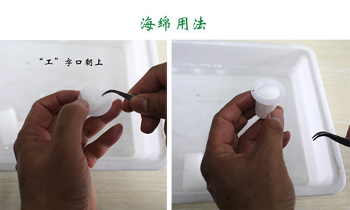 幸运买家无土栽培设备家庭阳台育苗蔬菜种菜机 24孔水培种植箱 - 图2