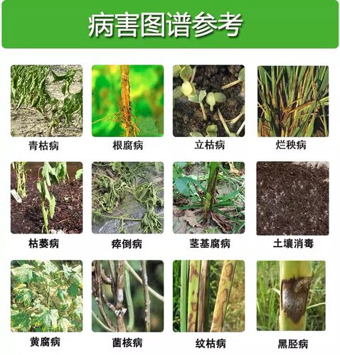 甲霜恶霉灵土壤消毒剂抗重茬枯萎病根腐病猝倒病立枯病农药杀菌剂 - 图1