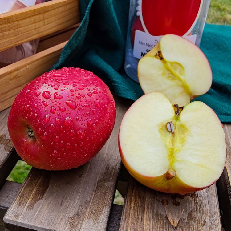 新西兰进口Rockit火箭苹果350g/筒樱桃小苹果脆甜当季水果包邮 - 图2