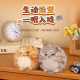 Simulation ໂທຫາ doll kitten pendant ຂອງຂວັນວັນເກີດ