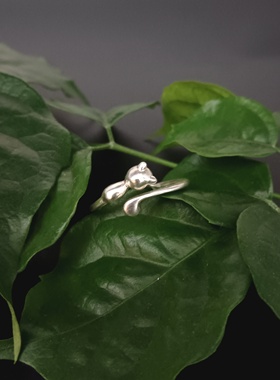 999纯银戒指女小众设计感指环轻奢高级感开口可调节戒指