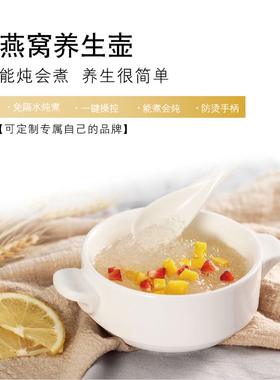 汉佳欧斯养生壶内胆配件炖燕窝