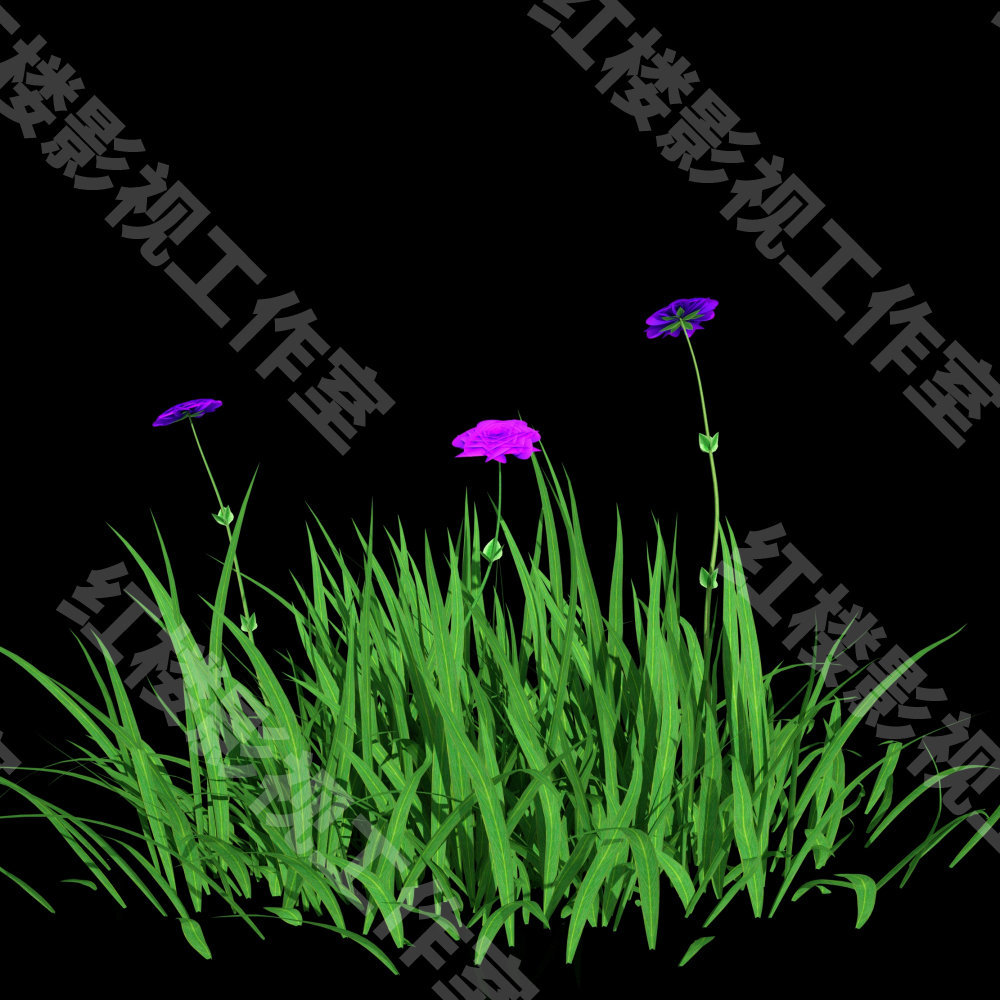 4K植物自然生长花生长草生长植物从无到有生长动画视频素材001-图1