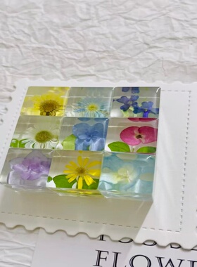 植物滴胶方块标本模具新手套装