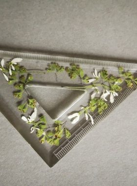 DIY滴胶花植文具模具材料