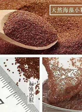 诗柏特小颗粒海藻面膜补水收毛孔
