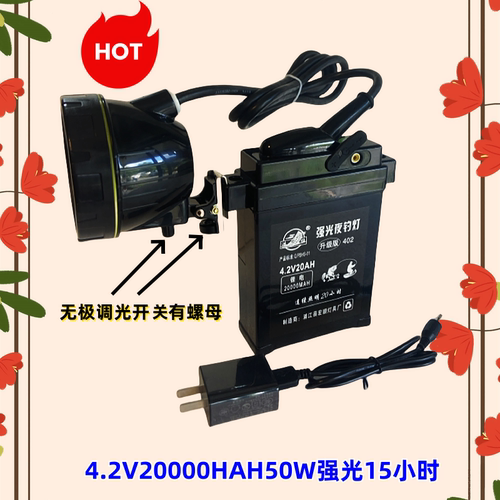 鸿顺户外作业无极调光夜钓灯蓝黄光10W20W30W钓鱼灯通宵两夜露营 - 图1