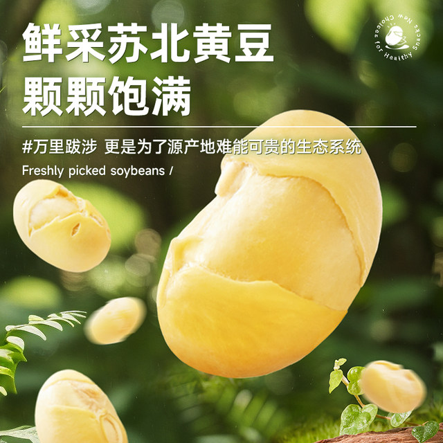 Three Squirrels Canned Roasted Soybeans 450g