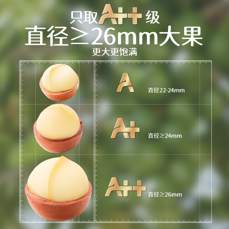 【三只松鼠_罐装大颗粒夏威夷500g】坚果炒货休闲零食 - 图0