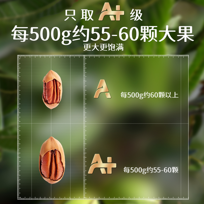 【三只松鼠_罐装大颗粒坚果碧根果500g】健康坚果休闲零食 - 图0