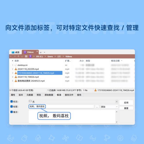 数码荔枝| XYplorer[Win]多标签文件任务资源管理器 - 图1