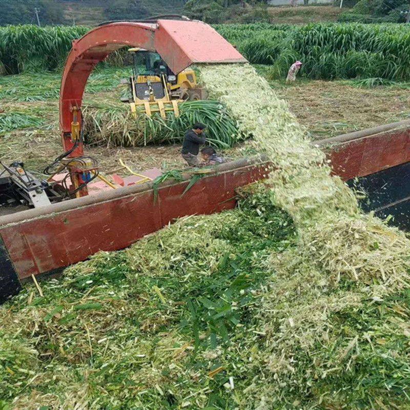 豆饼鸡粪有机肥堆肥水肥发酵粉花生麸牛羊粪秸秆 em 腐熟菌种剂,淘宝优惠券,粉丝福利购,淘宝优惠卷