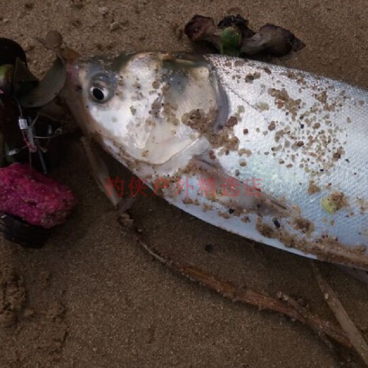 翻板钩飞钩钢丝硬线钩新型翻版套装钓侠户外爆炸钩鲢鳙防缠绕包邮 - 图0