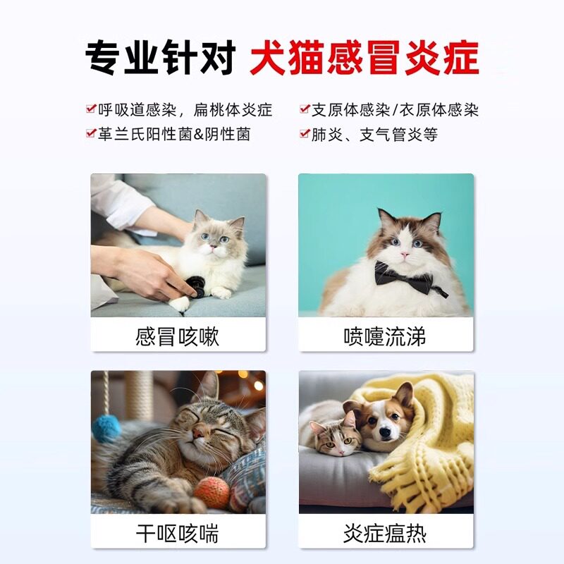 盐酸多西环素片狗狗感冒药宠物猫咳嗽消炎药猫咪猫鼻支打喷嚏鼻涕