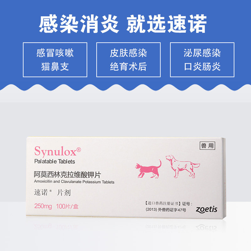 速诺片阿莫西林克拉维酸钾片狗狗口炎猫咪消炎药宠物速诺250mg1板_虎窝淘