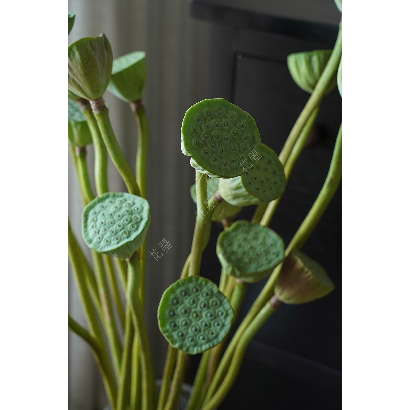 莲蓬新鲜花真莲蓬鲜切花瓶插花落地大花瓶落地绿植真花可做干花材 - 图0