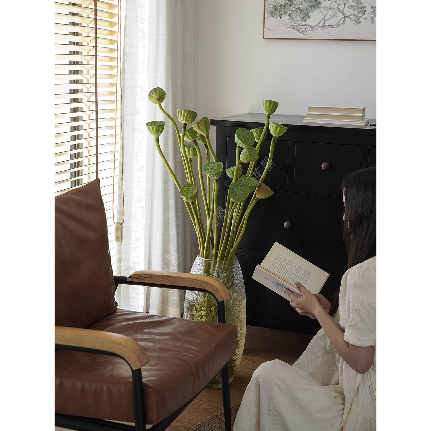 莲蓬新鲜花真莲蓬鲜切花瓶插花落地大花瓶落地绿植真花可做干花材 - 图1