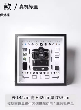 样板间摄影真相机拆解画金属摆件