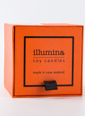 新西兰进口香薰illumina soy candles 手工香薰蜡烛黑雾明星同款