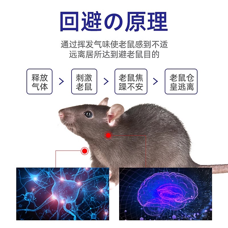 【超强力驱鼠】老鼠特效驱赶神器强效避鼠膏驱鼠器克星捕家用室内 - 图2