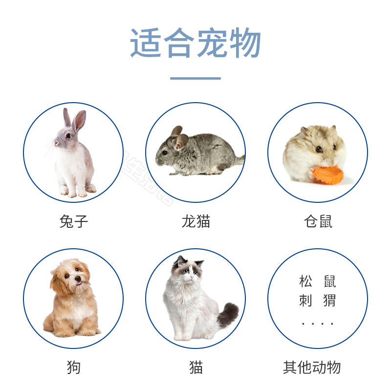 现货PETAG帮你壮益生菌 兔子龙猫肠胃调理 营养补充 软便呕吐便秘