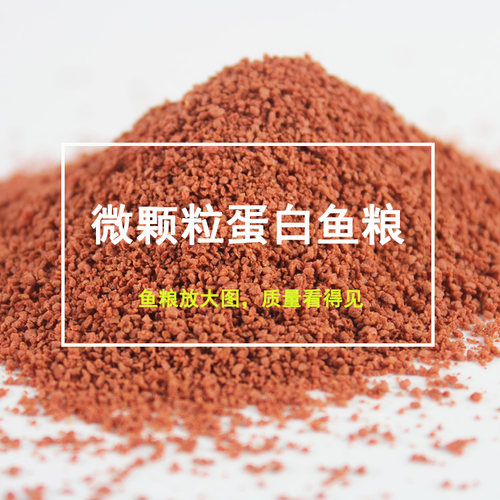 孔雀凤尾灯科鱼饲料鱼粮微小颗粒热带鱼食观赏小型鱼增彩鱼虫干粮 - 图0