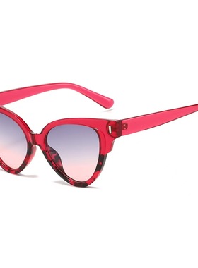 猫眼太阳镜黑色跨境欧美潮流斑马