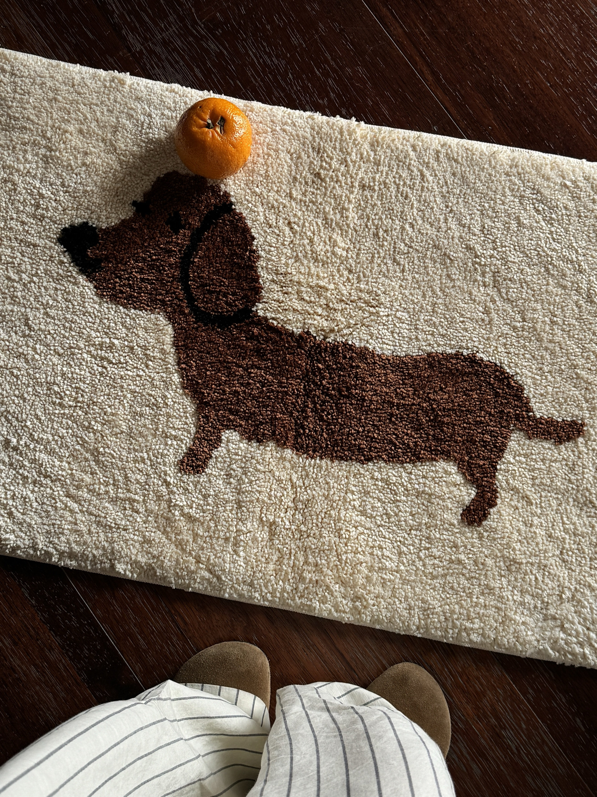 ARISUSPACE好运腊肠小狗韩式簇绒地垫入户地垫脚垫门垫吸水防滑,淘宝优惠券,粉丝福利购,淘宝优惠卷