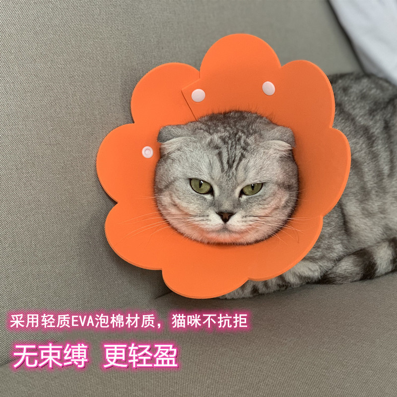 猫咪伊丽莎白圈猫脖圈狗项圈太阳花EVA海绵轻薄防舔头套绝育用品 - 图3