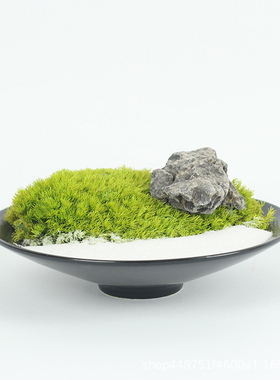 现代新中式侘寂风会所桌面永生苔花艺摆件样板房间软装饰品微景观