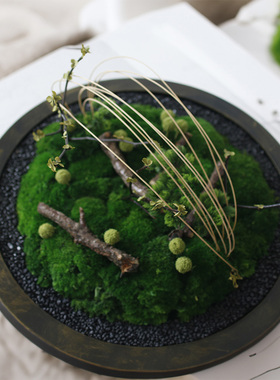 盆栽苔藓茶室新中式样板酒店花艺