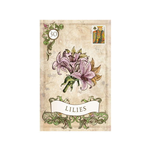 原装正版旧体利诺曼 Old Style Lenormand 老式雷诺曼卡牌 - 图2