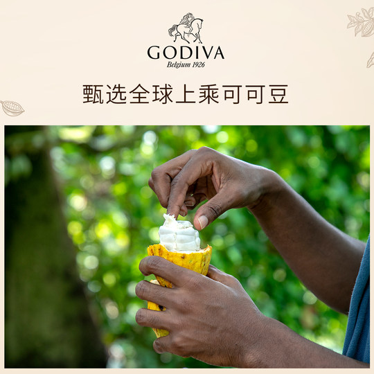 GODIVA Godiva imported chocolate flavored cocoa powder