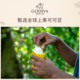 GODIVA Godiva imported chocolate flavored cocoa powder