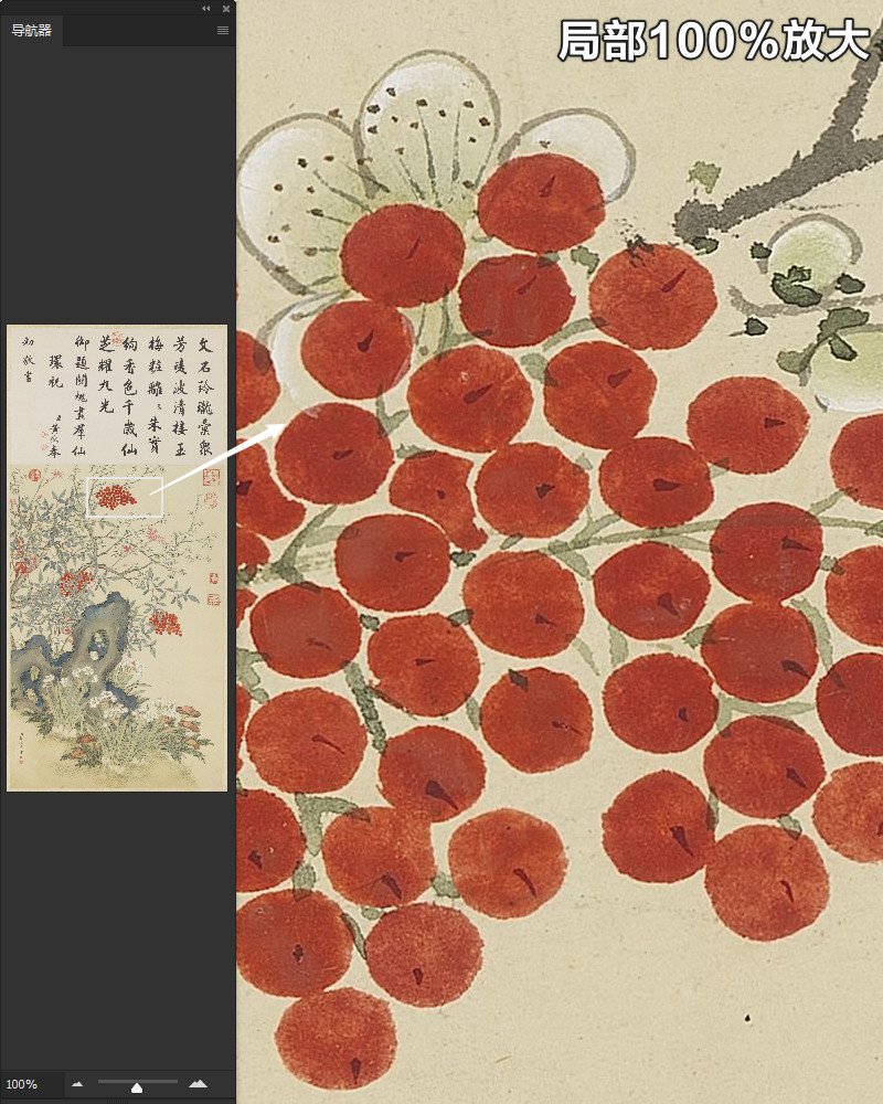 关槐群仙环祝图轴清朝古代花卉奇石绘画装饰画高清电子版图片素材