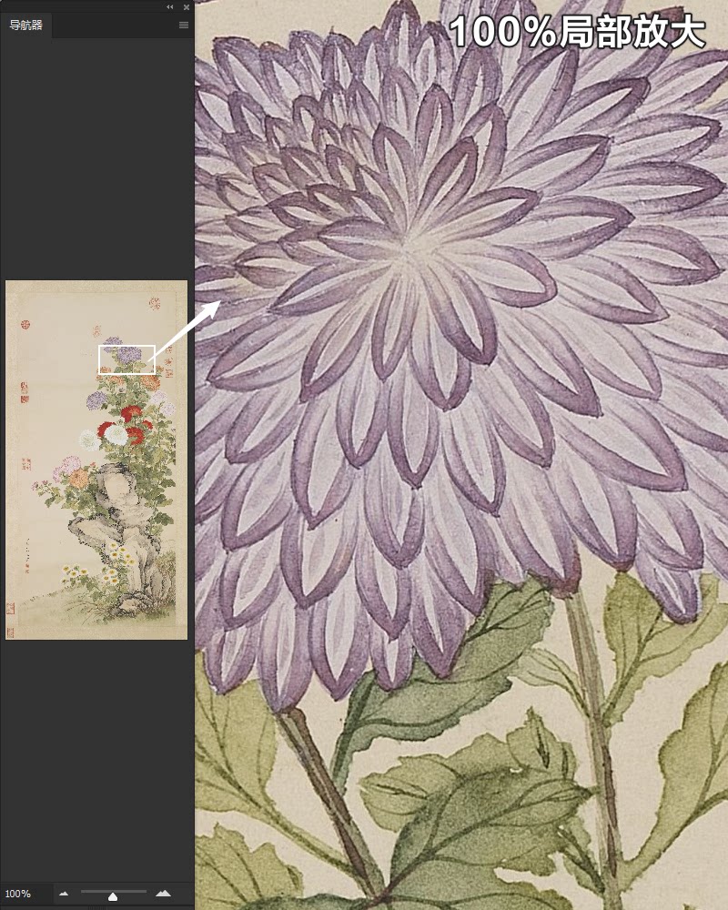 邹一桂画菊图轴清朝古代工笔白红紫黄菊花绘画高清电子版图片素材