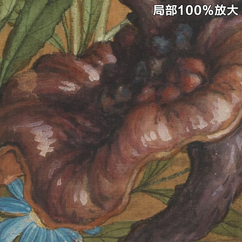 郎世宁万寿长春图轴清朝古代工笔灵芝奇石花卉装饰画高清电子图片