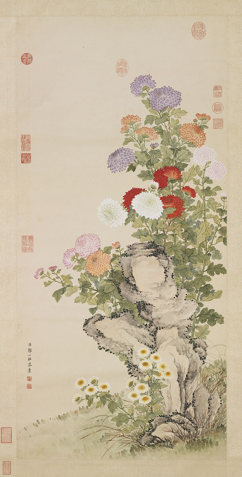 邹一桂画菊图轴清朝古代工笔白红紫黄菊花绘画高清电子版图片素材