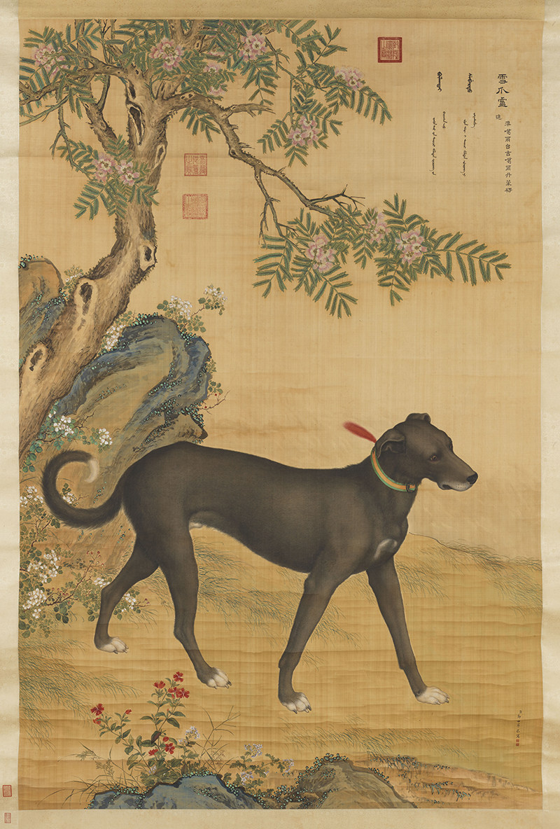 郎世宁画十骏犬雪爪卢图轴清朝古代工笔狗狗绘画高清电子图片素材