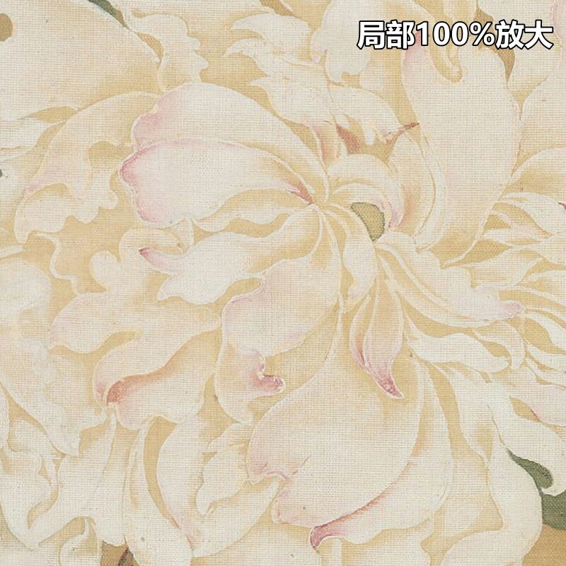 恽寿平五色芍药图立轴清朝工笔花卉装饰画打印高清电子版图片素材