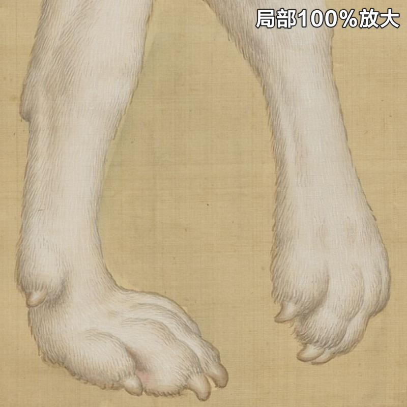 郎世宁十骏犬之茹黄豹图清朝古代工笔名狗装饰画高清电子图片素材
