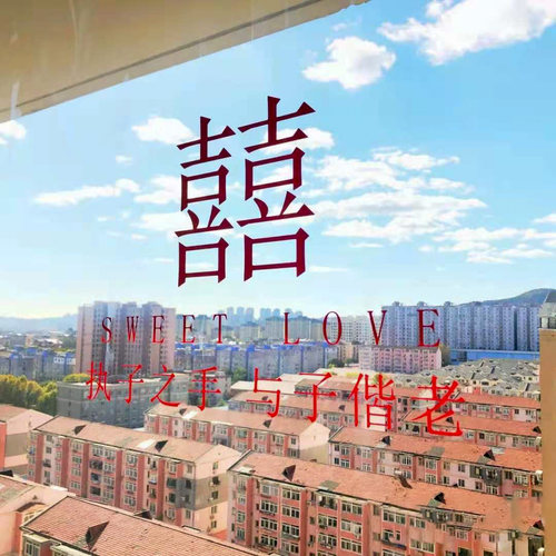 玻璃喜字贴纸玻璃窗贴喜结婚贴个性婚房装饰品小红书同款窗花婚礼 - 图0