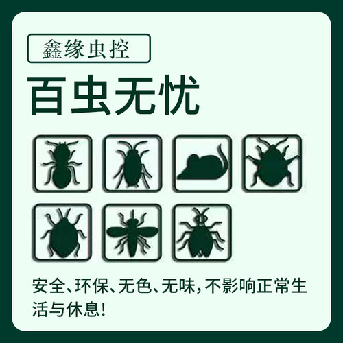 上海上门抓老鼠灭鼠服务除鼠上门捕鼠苏州上门抓老鼠驱鼠灭鼠服务 - 图2