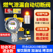 Explosion-proof gas alarm commercial combustible gas detection alarm device Catering hotel Gas liquefied gas leakage