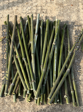 竹筒装饰手工制作新鲜绿色