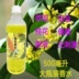 Hương thơm Gulong osmanthus nước hoa xe bổ sung chất lỏng chai khách sạn nhà hoa nhài Gardenia hoa oải hương - Nước hoa