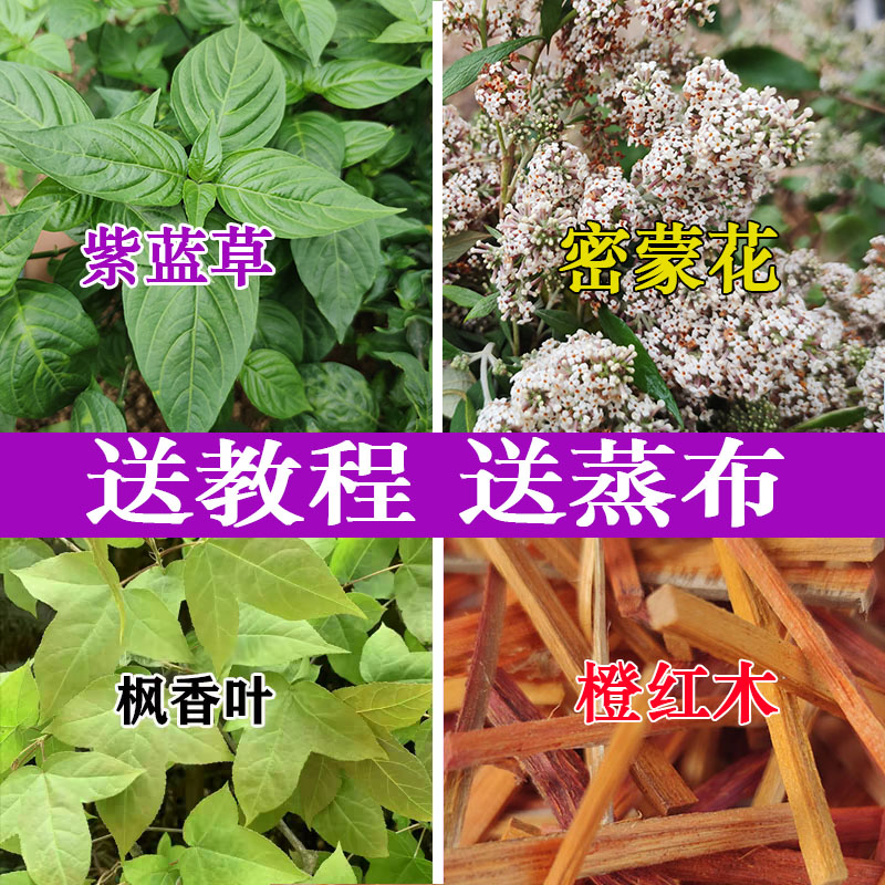 广西五色糯米饭植物染料枫香叶红蓝草三月三清明节黄饭花饭团染料 - 图0