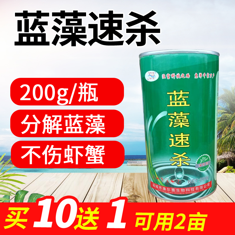 蓝藻分解素分解精生物除蓝藻鱼塘杀蓝藻蓝藻一泼灵水产养殖专用